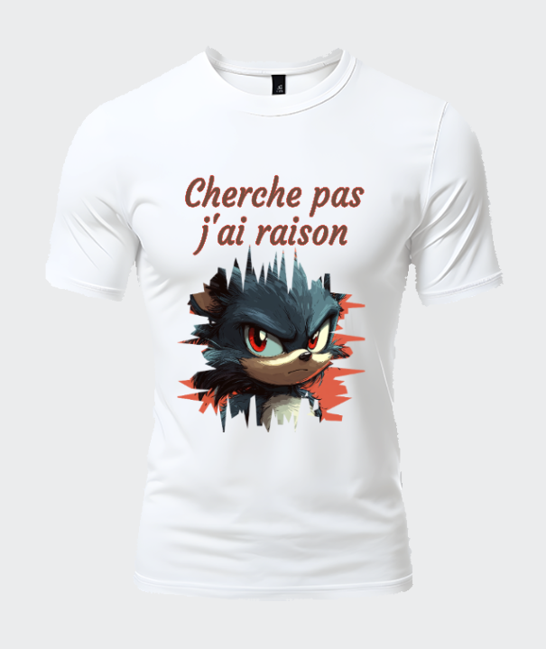 cherche pas