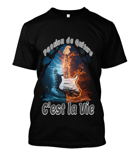 passion de guitare c\'est la vie